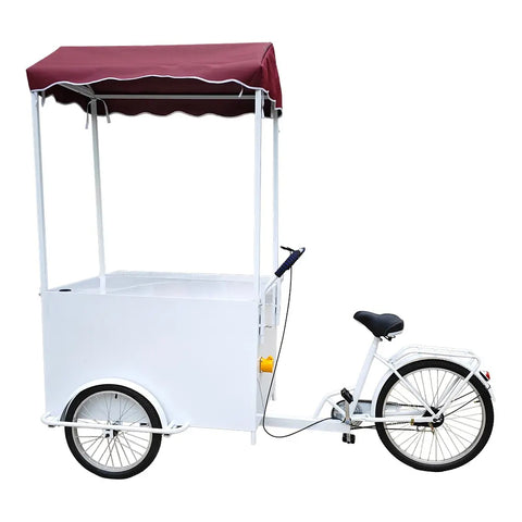 Snack Food Vending Tricycle Bicycle with 3 wheels and canopy