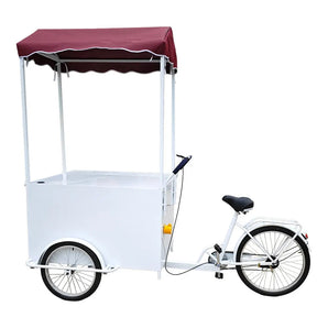 Snack Food Vending Tricycle Bicycle with 3 wheels and canoby