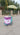 Ice Cream push cart with Freezer Mini Gelato ice Cream cart Refrigerator cart Mobile Food carts - Kolice