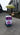 Ice Cream push cart with Freezer Mini Gelato ice Cream cart Refrigerator cart Mobile Food carts - Kolice