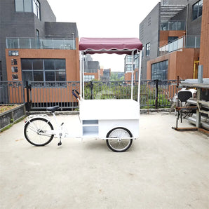 Snack Food Vending Tricycle Bicycle with 3 wheels and canoby